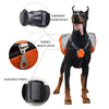 Doggie Saddlebags