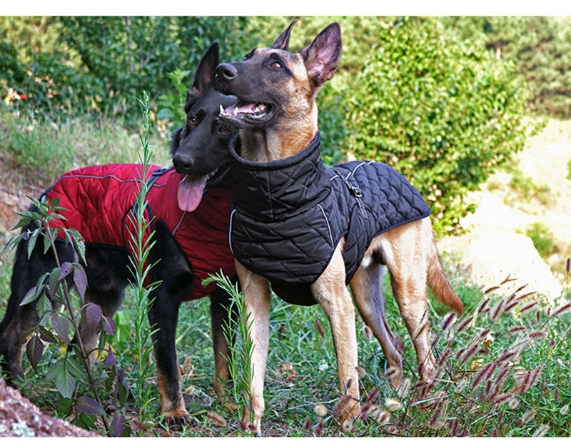 Pet Clothes Jacket For Dogs